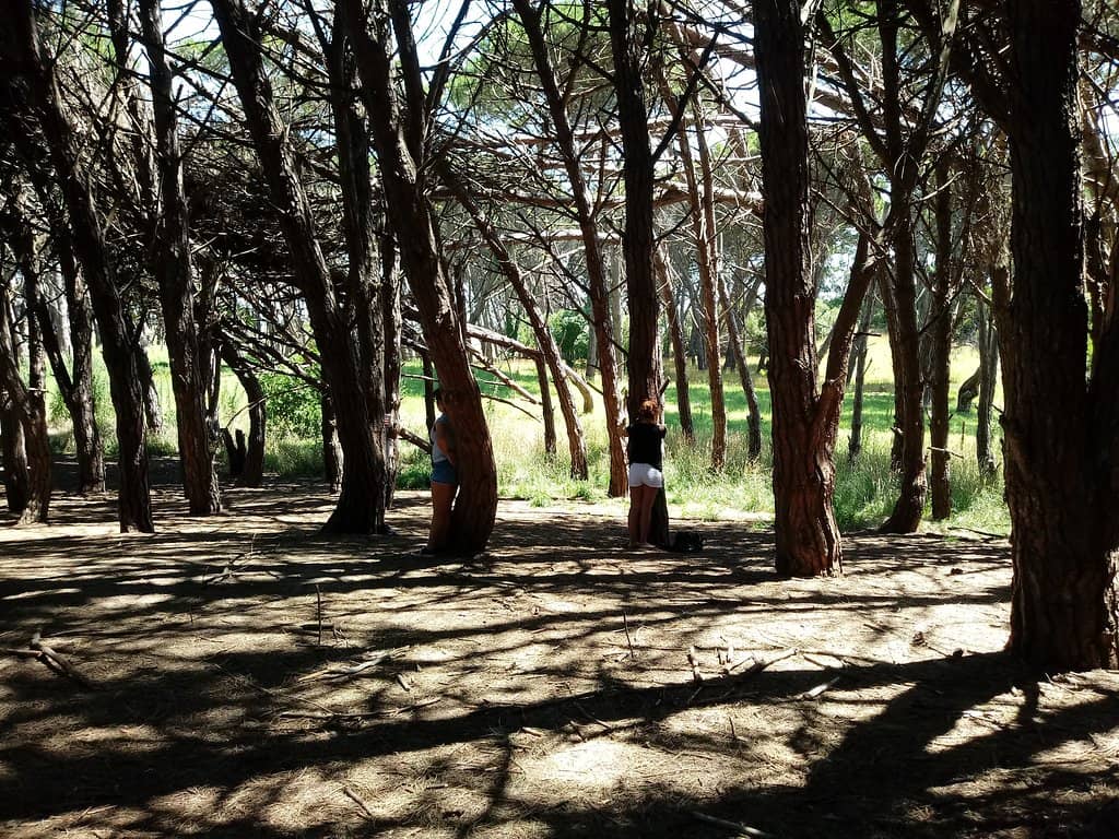 Vertical photo