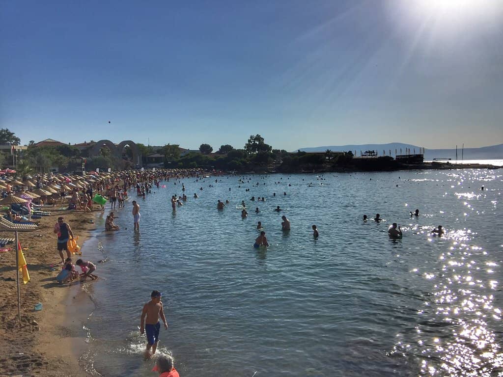 Sandy Shores & Rentals