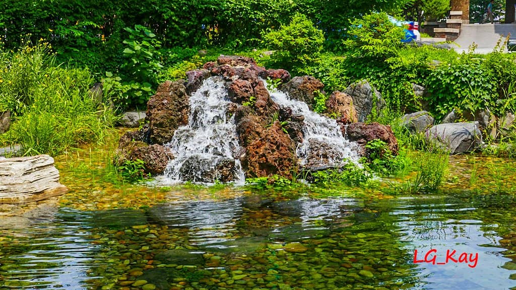 Budget-Friendly Eats