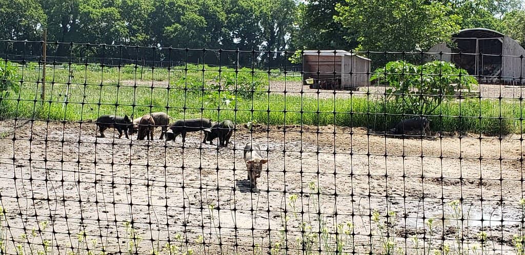 Enchanting Gardens & Grounds