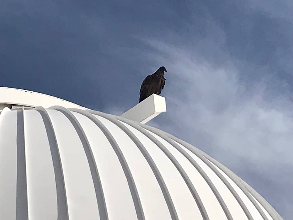 Cosmic Discoveries Showcase