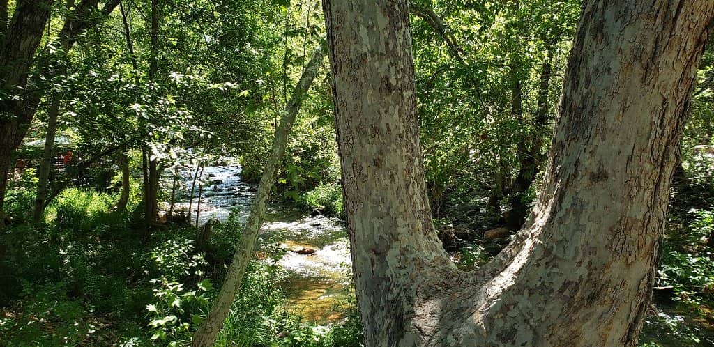 Oak Creek Canyon Scenic Drive