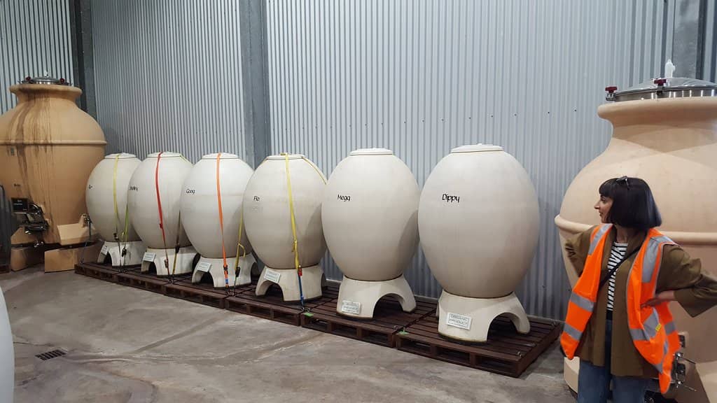 Grenache & Shiraz Tasting