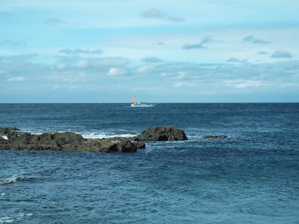 Port Murals