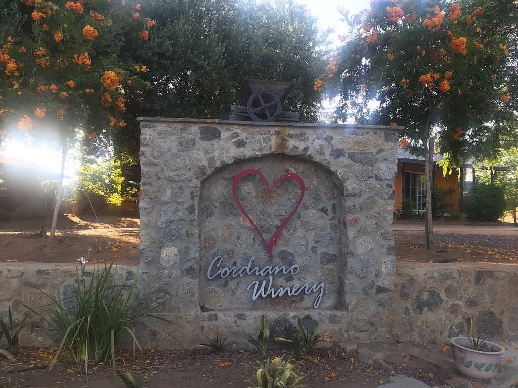Wine Tasting Experience