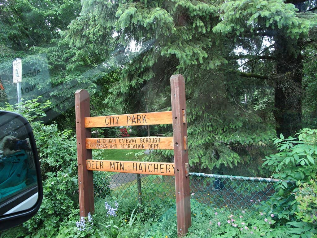 Water Features & Ponds