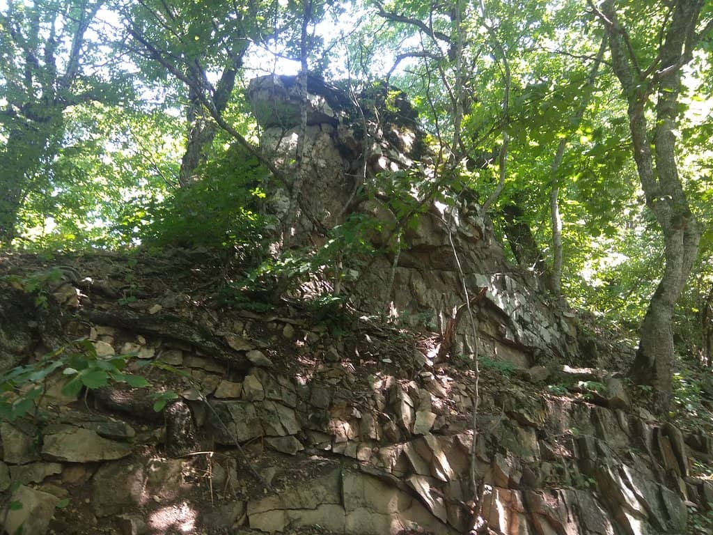Vertical photo