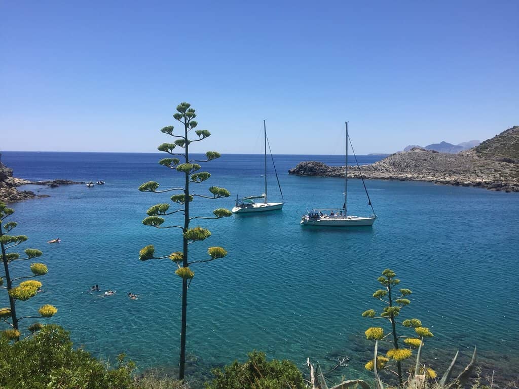 Scenic Cove Setting