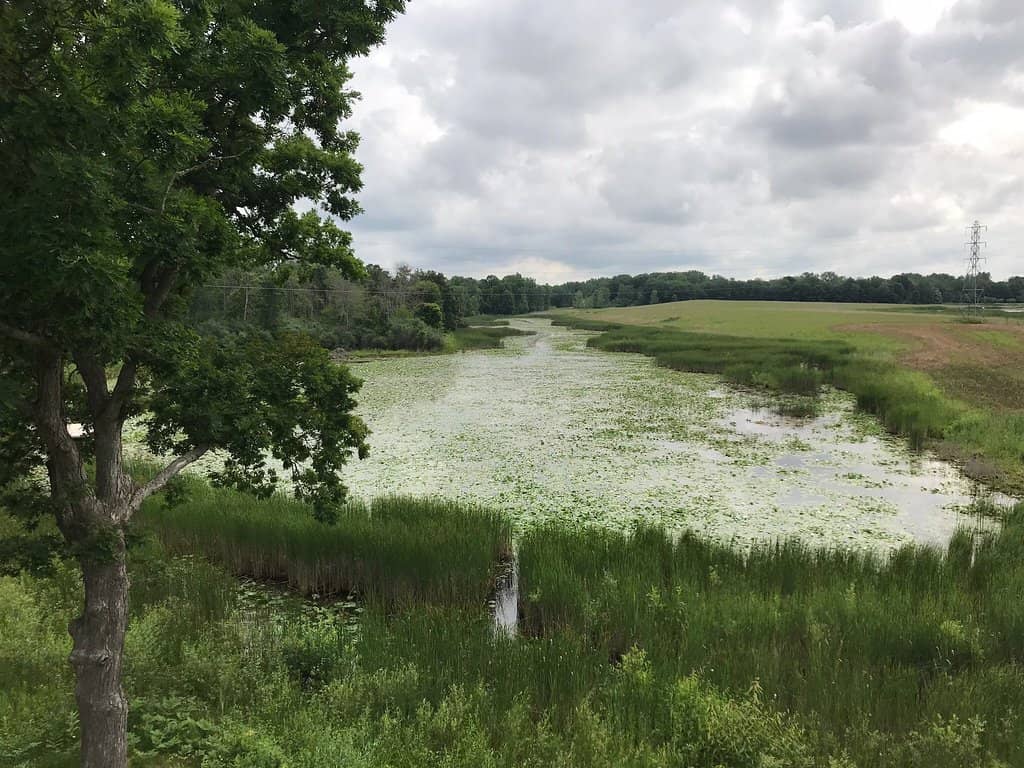 River Trail