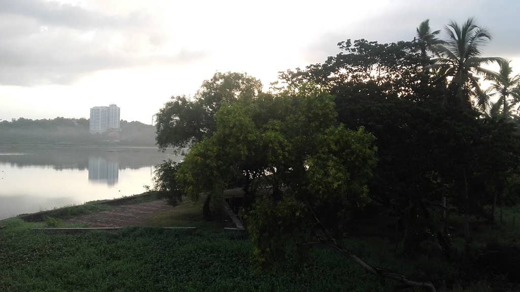 Children's Play Area