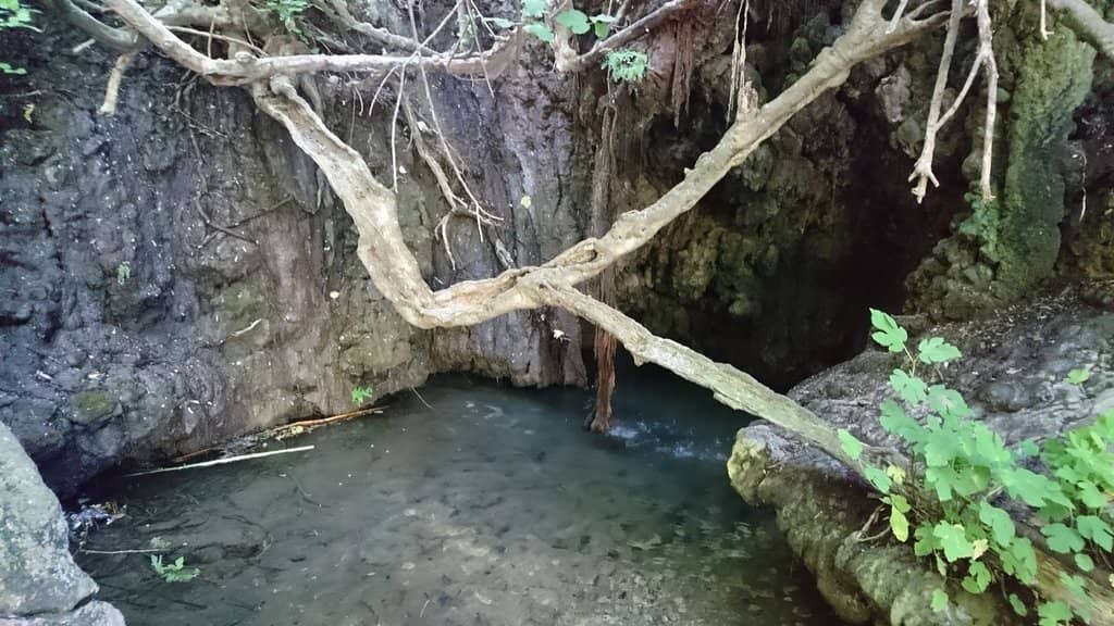 The Grotto