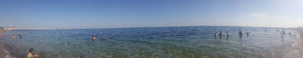 Pristine Sandy Shores