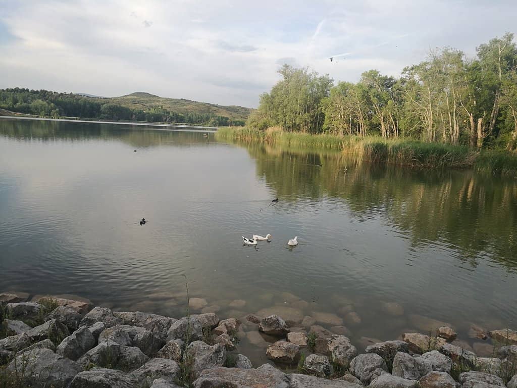 Picnic and BBQ Areas