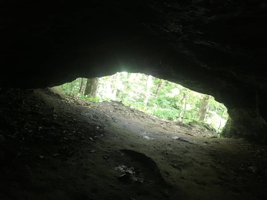 Vertical photo