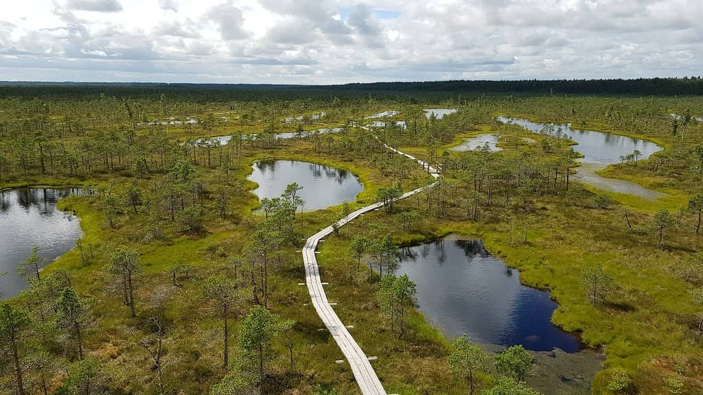 Historic Resort Town Charm