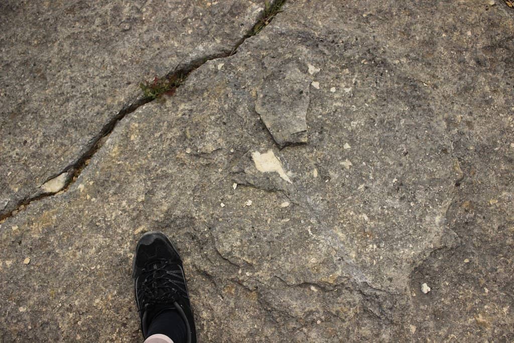 Vertical photo