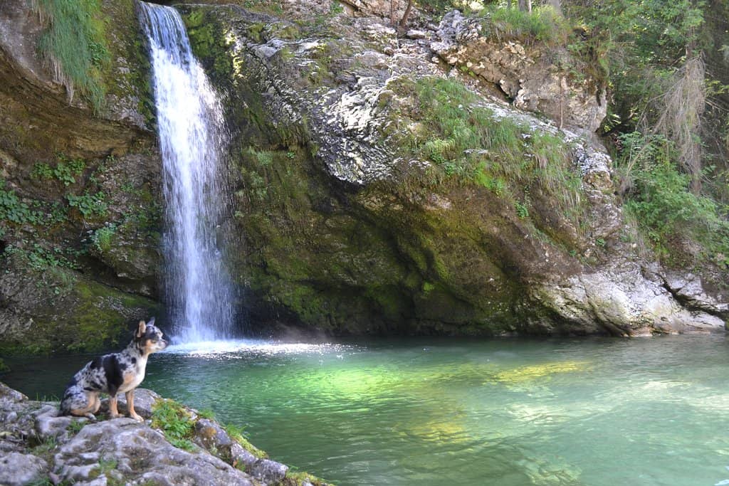 Canyoning Opportunities
