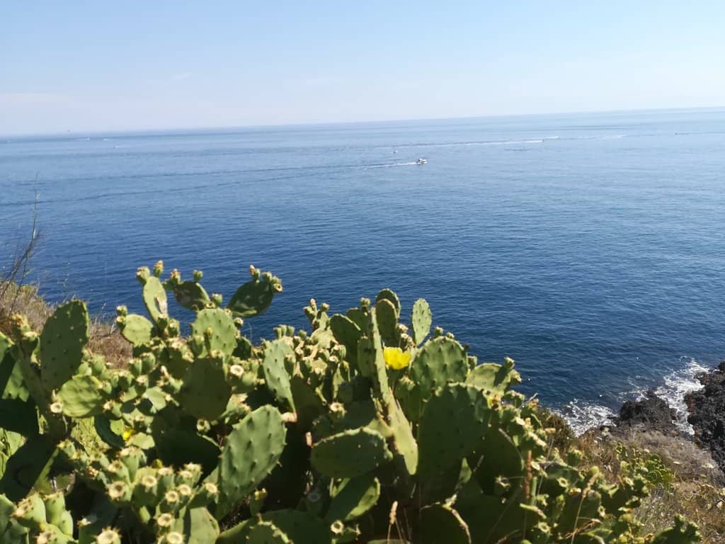 Secluded Coves