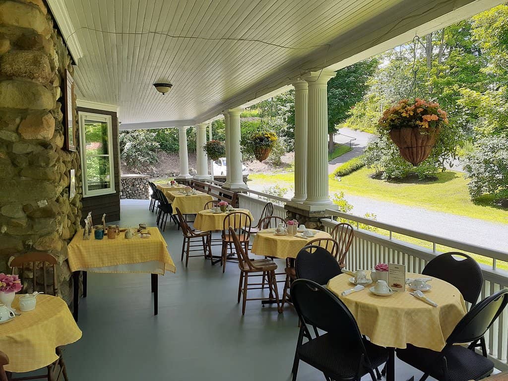 Local Art Exhibitions