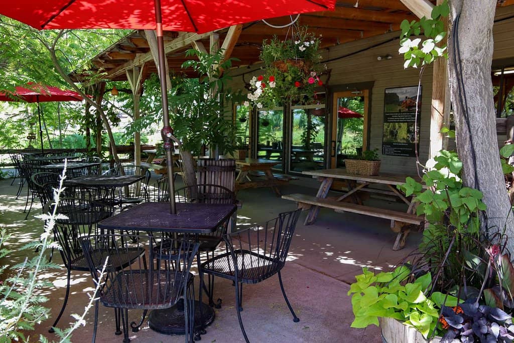 Farm Animals & Kids' Mini Tours