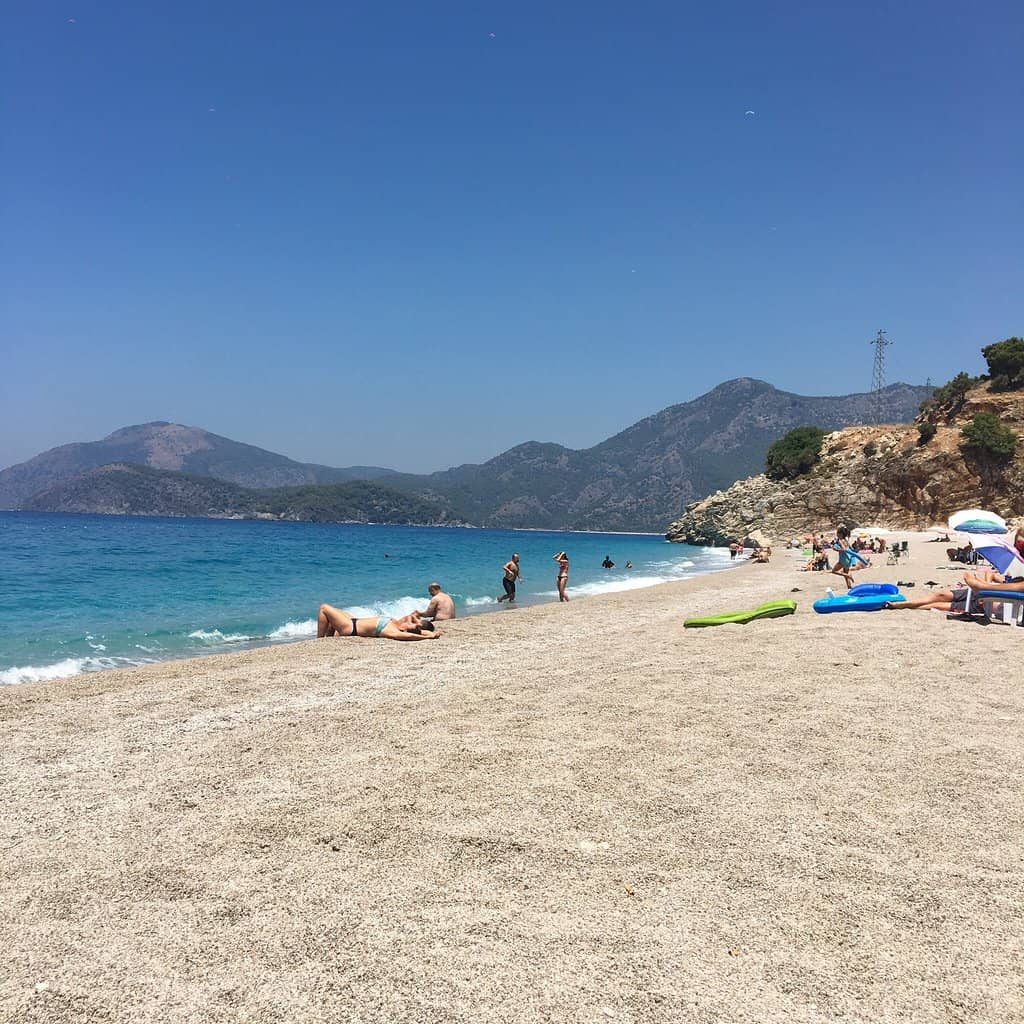 Natural Shade Under Trees