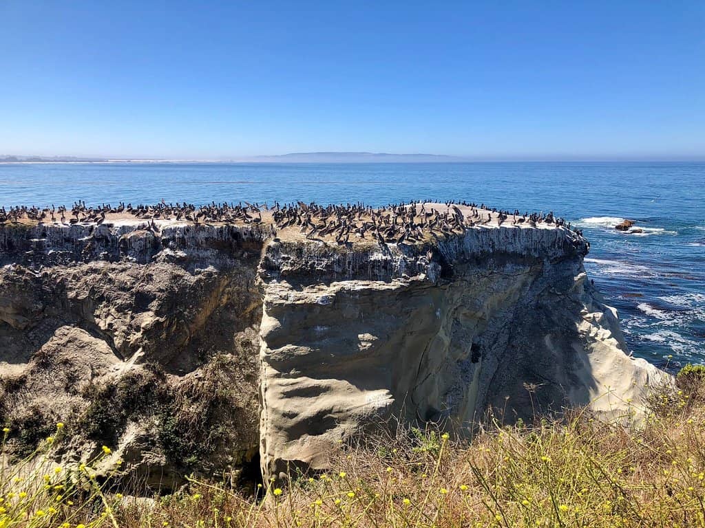 Kid-Friendly Playground