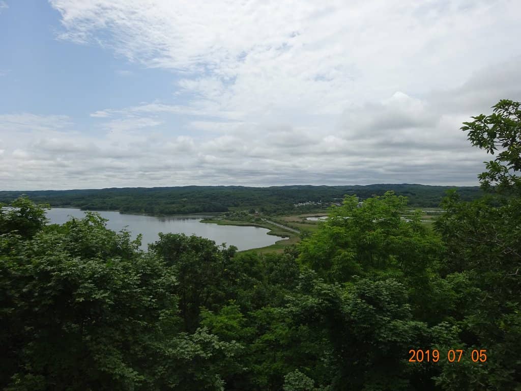 Wildlife Spotting Opportunities