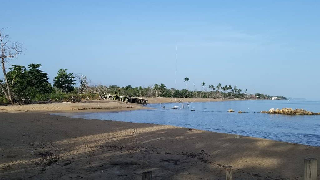 Vibrant Vendor Market