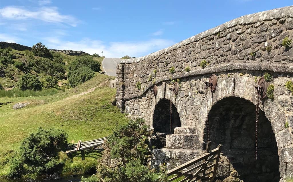Bellever Tor Views