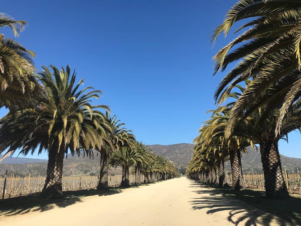 Wine Tastings with a View