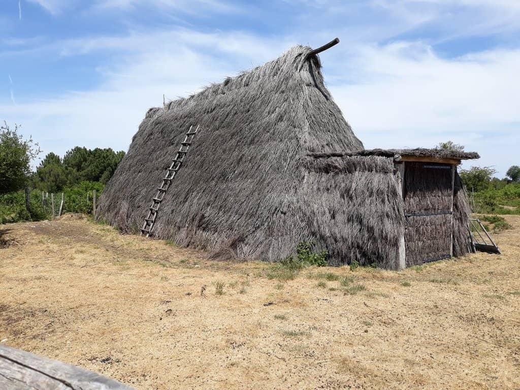 Biodiversity Hotspot