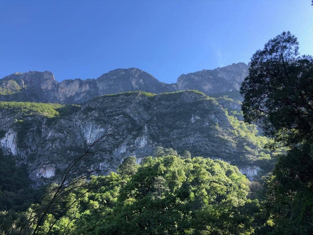Vertical photo