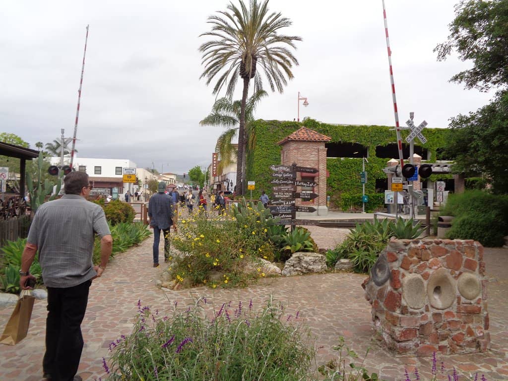 Petting Zoo & Pony Rides