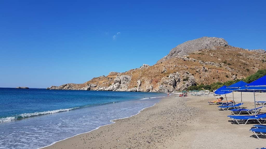 Cretan Date Palms