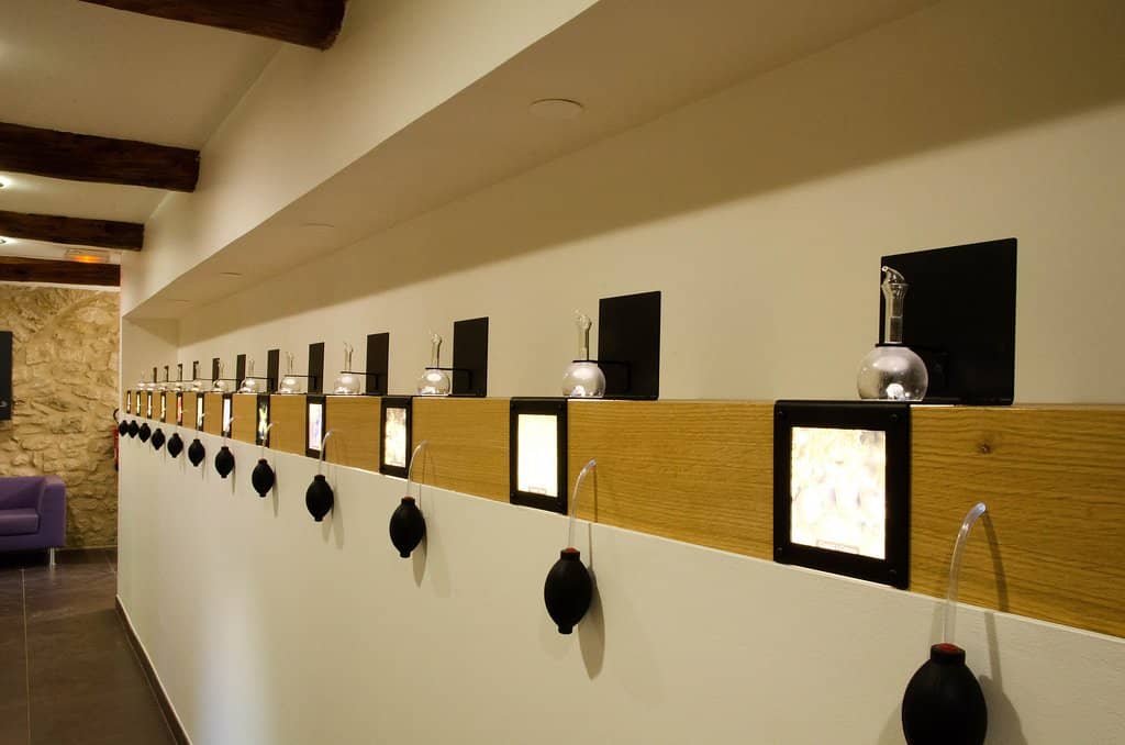 Luxurious Lecture Hall