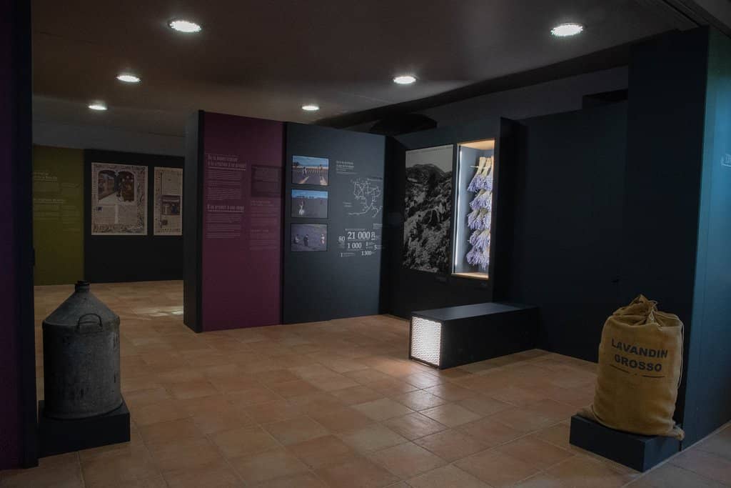 Herb and Plant Exhibition