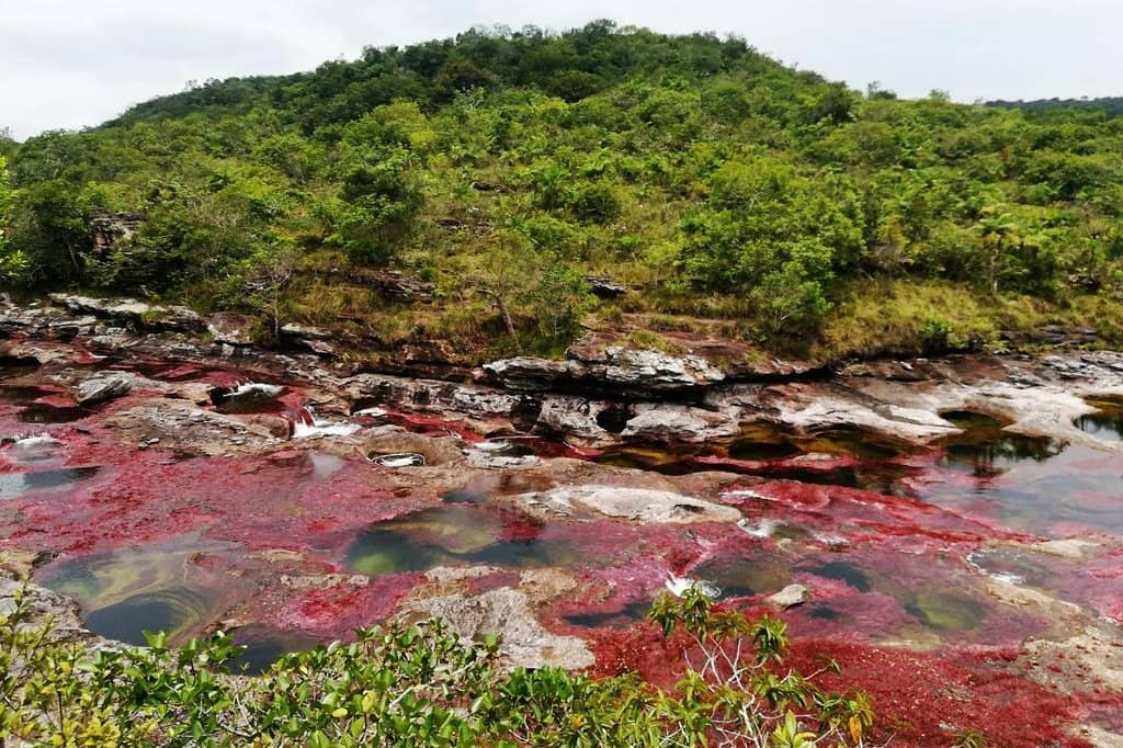 The Rainbow River