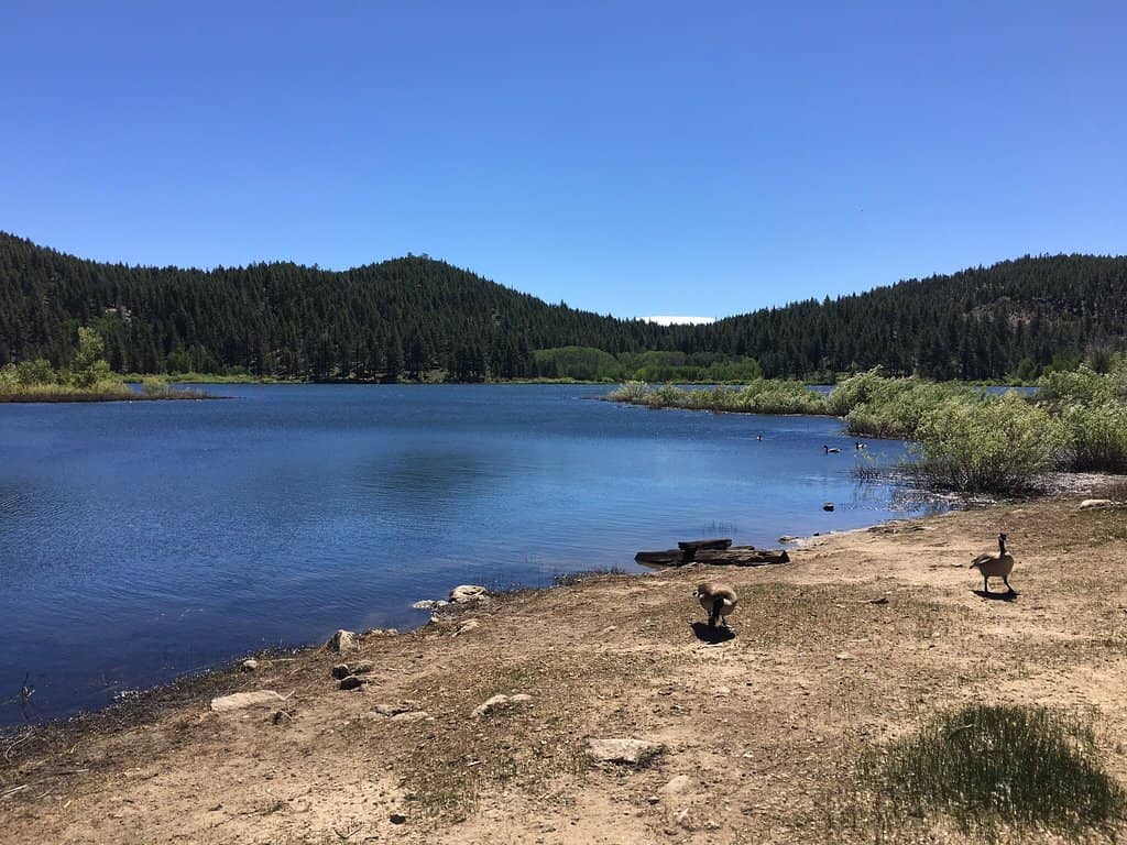 Spooner Lake to Marlette Lake Trail
