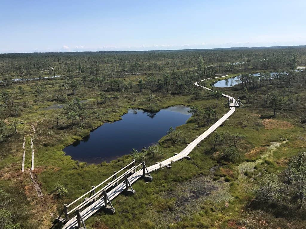 Observation Tower