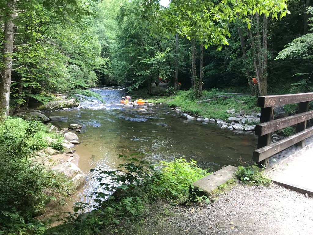 Challenging Cemetery Trail