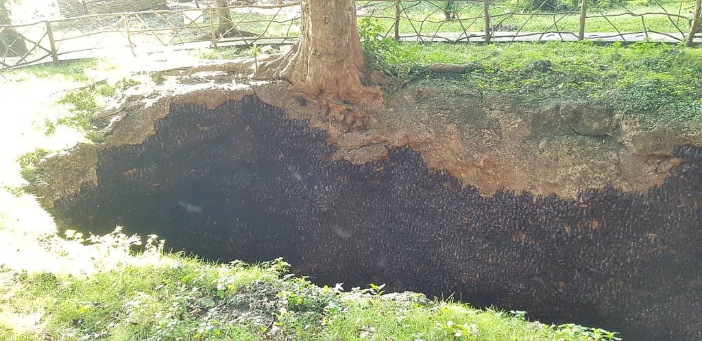 Educational Insights