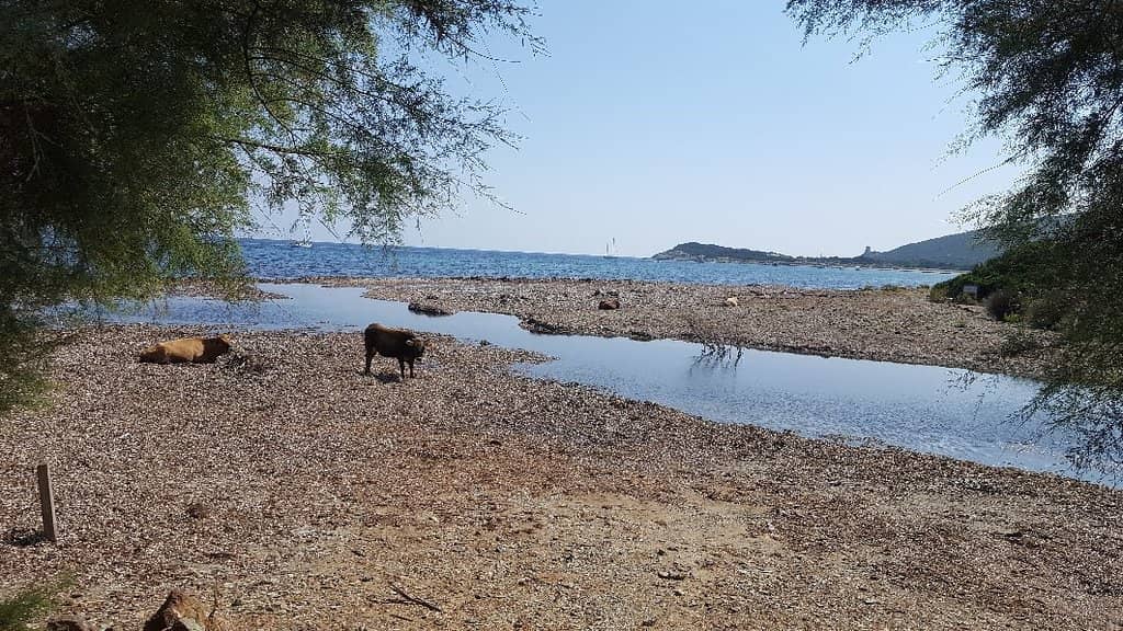 Sentiero dei Doganieri Hike