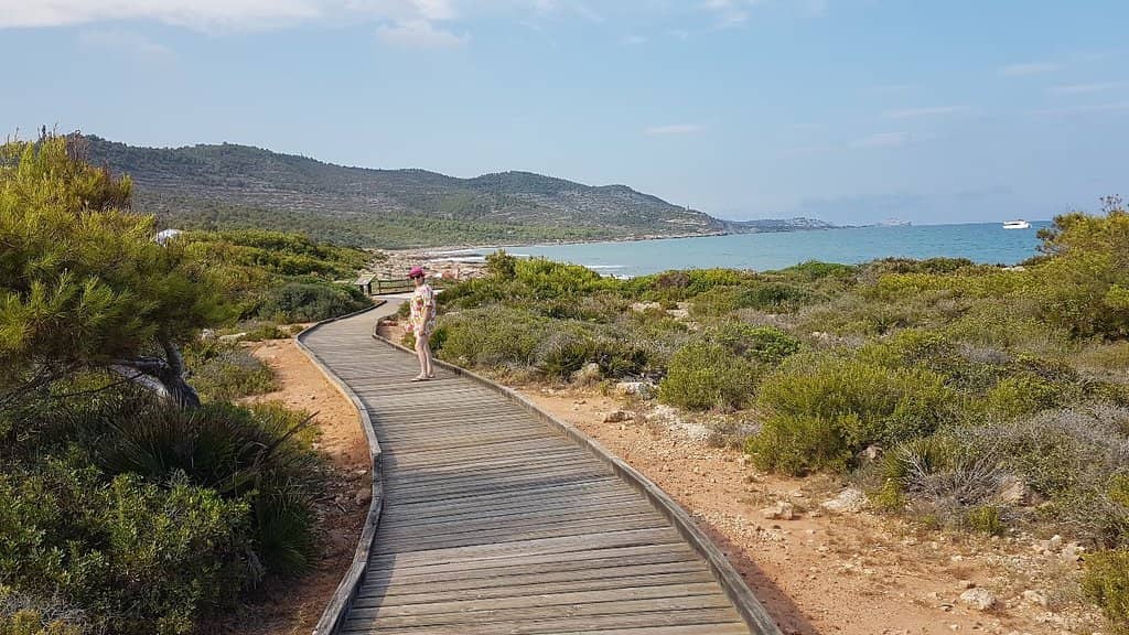 Ruta del Fardatxo
