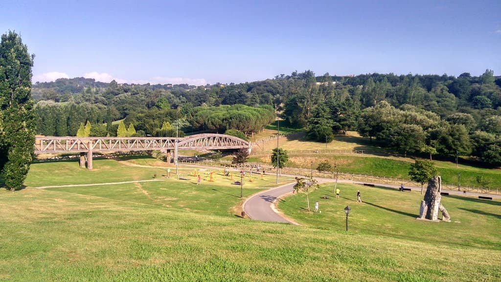 Panoramic City Views