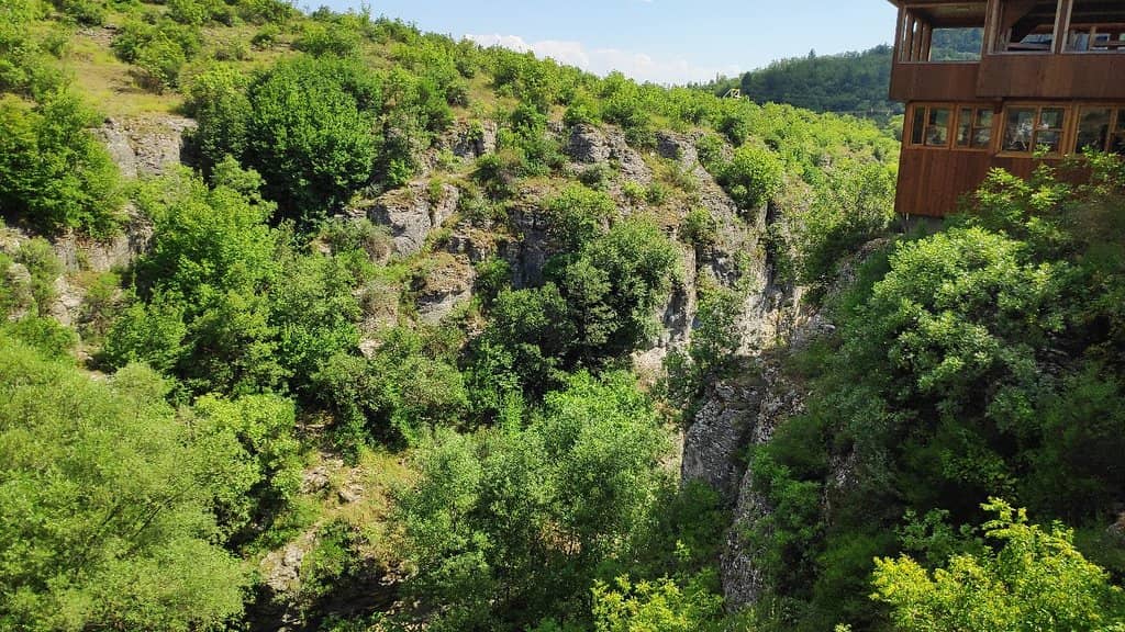 Vertical photo