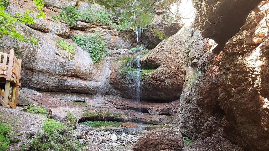 Vertical photo