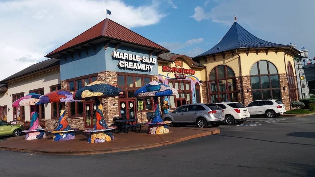 Creative Stone-Baked Pizzas