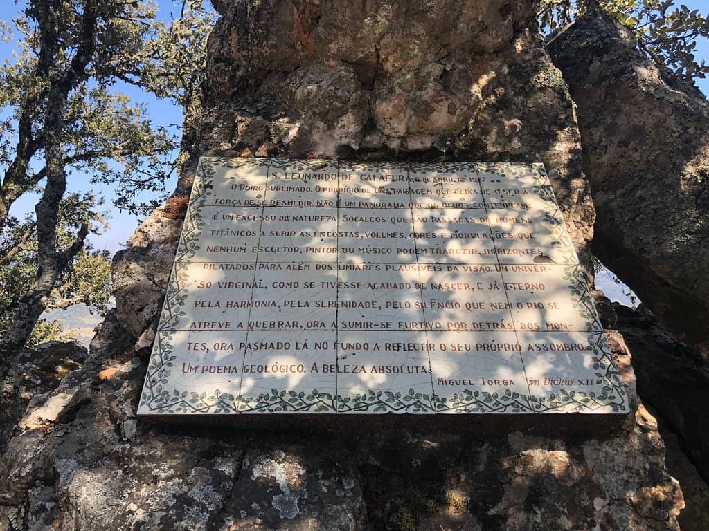 Picnic Area with a View