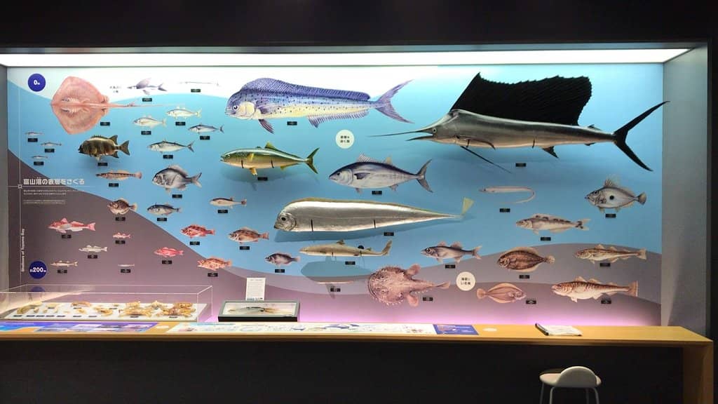 Planetarium Shows