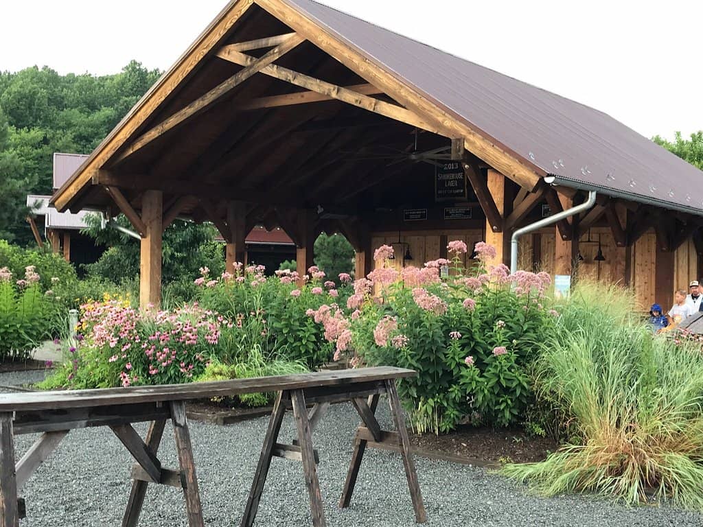 Lumberjack Competitions